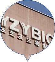 麻将胡了2(中国游)官方网站 - IOS/安卓通用版/手机APP下载